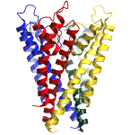 Rotating ion channel